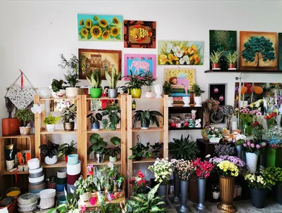 Kwiaciarnia - Galeria Magia Kolorów